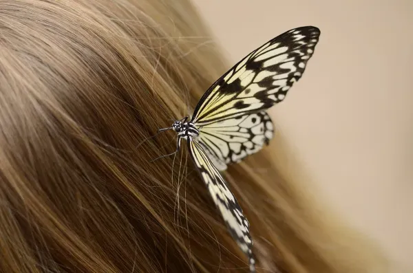 Będąc młodą blondynką