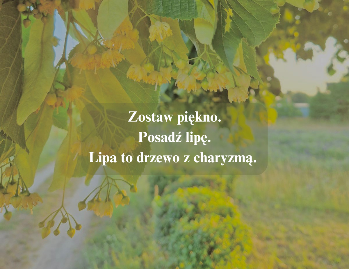 PSALMOTEKA po raz szósty