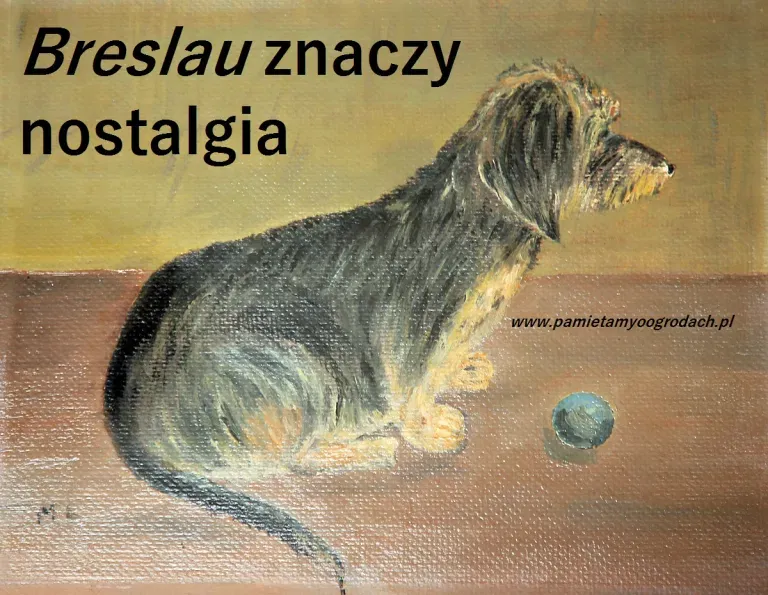 Breslau znaczy nostalgia