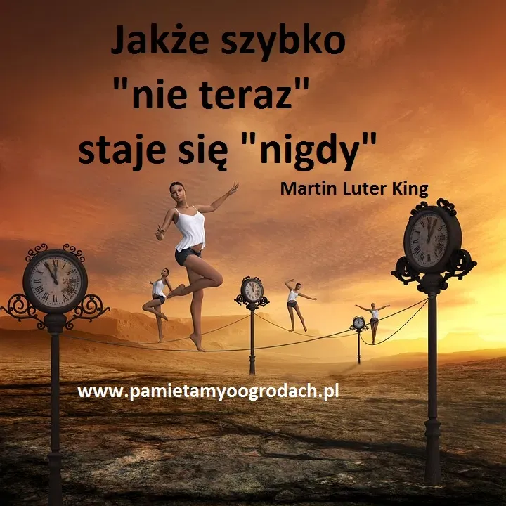 Prokrastynacja – ten potworny potwór