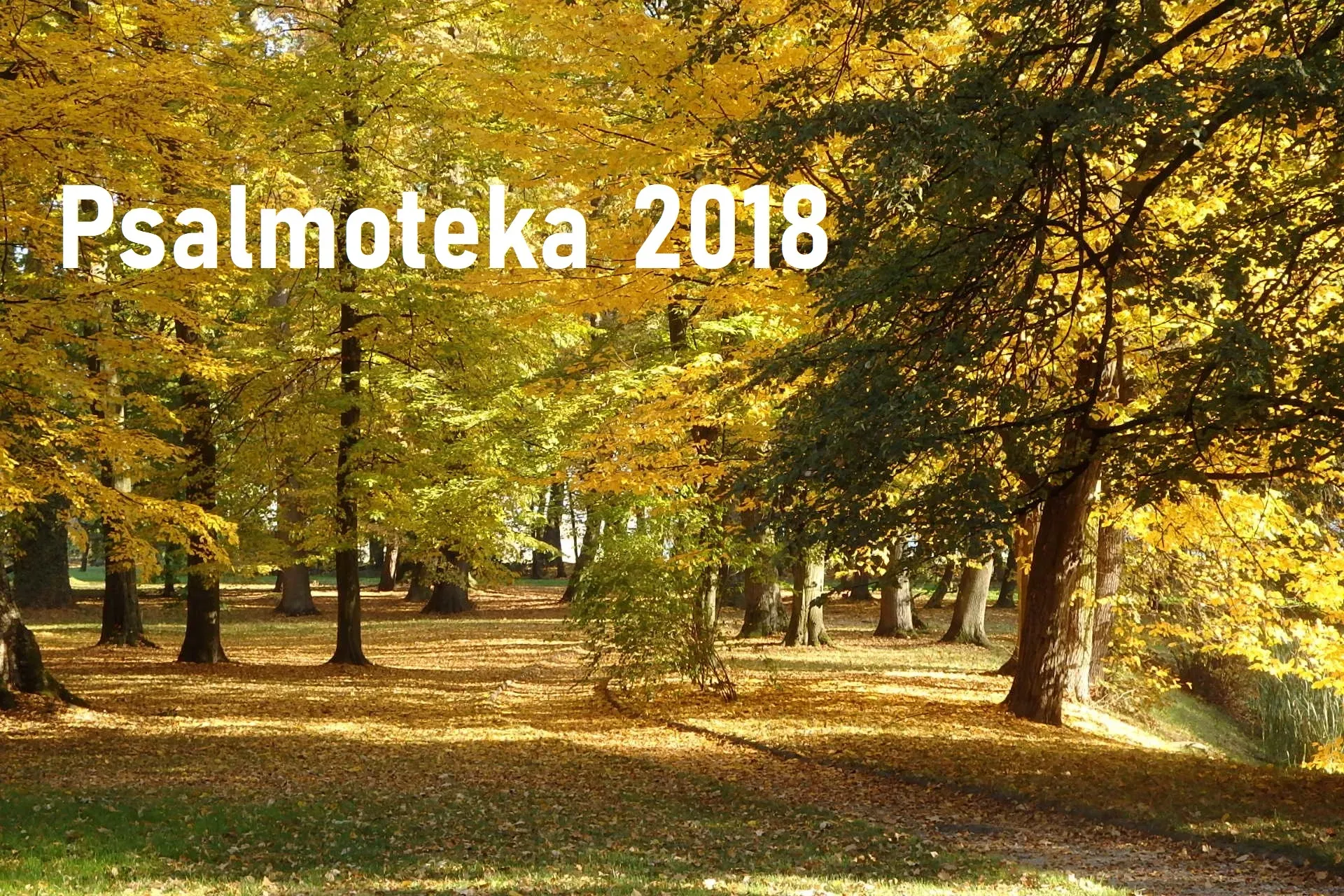 Byliśmy. Sadziliśmy. Lipki rosną!
