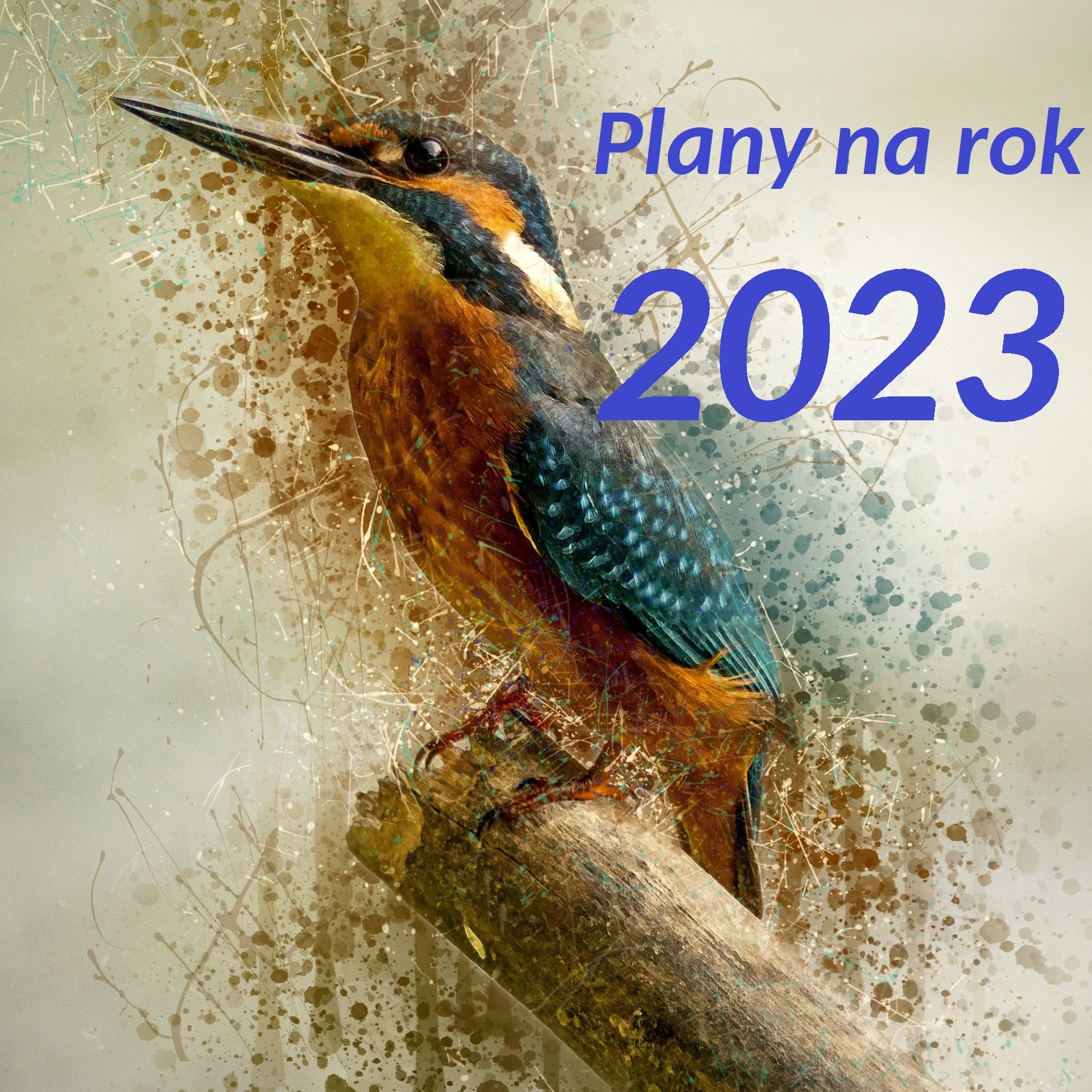 Projekty 2023